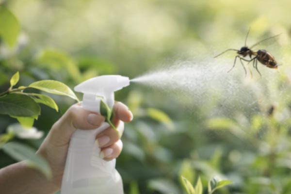 Méthodes de répulsifs d'insectes non toxiques