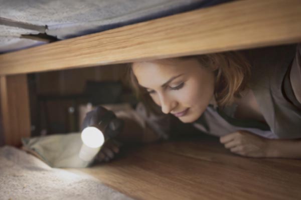 Techniques de prévention des parasites intérieurs
