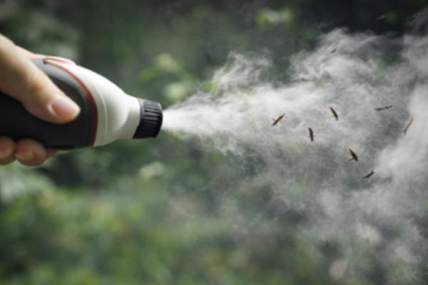 Gestion des moustiques sans produits chimiques